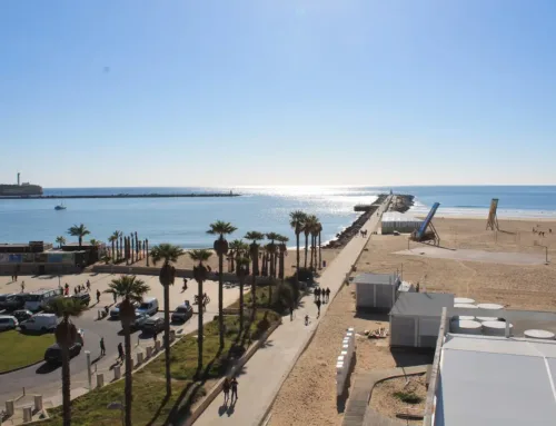 Férias na Praia da Rocha: Alojamento Local de Qualidade